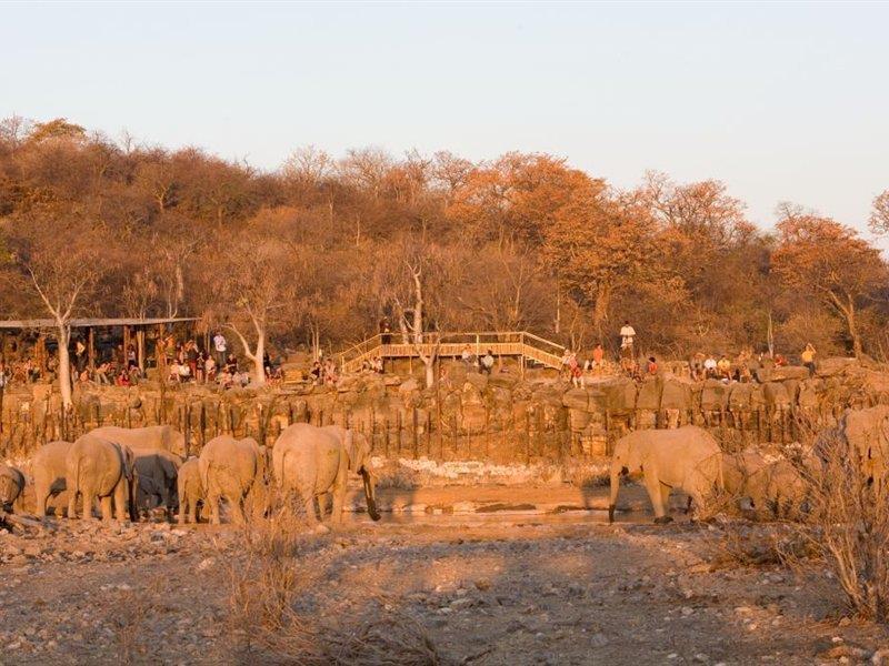 Готель Halali Camp Etosha Екстер'єр фото